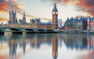 英短暹罗串会怎么样？ 英短跟暹罗串串是什么样子???？