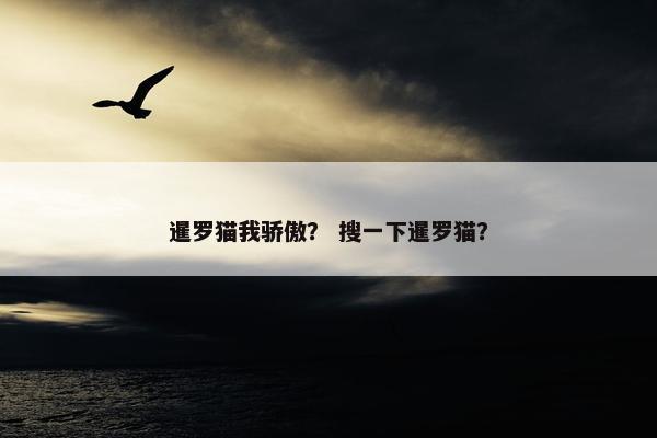 暹罗猫我骄傲？ 搜一下暹罗猫？