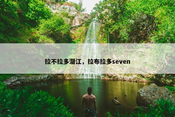 拉不拉多潜江，拉布拉多seven