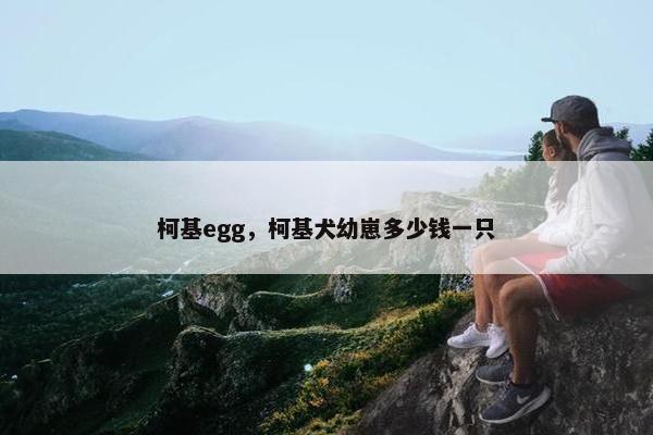 柯基egg，柯基犬幼崽多少钱一只