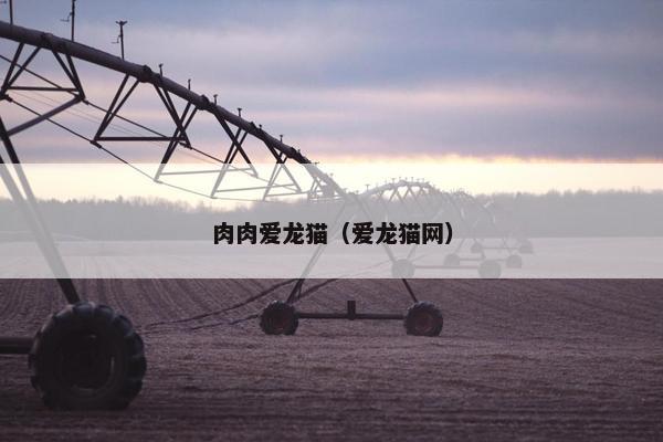 肉肉爱龙猫（爱龙猫网）