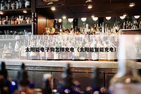 太阳能电子狗怎样充电（太阳能智能充电）