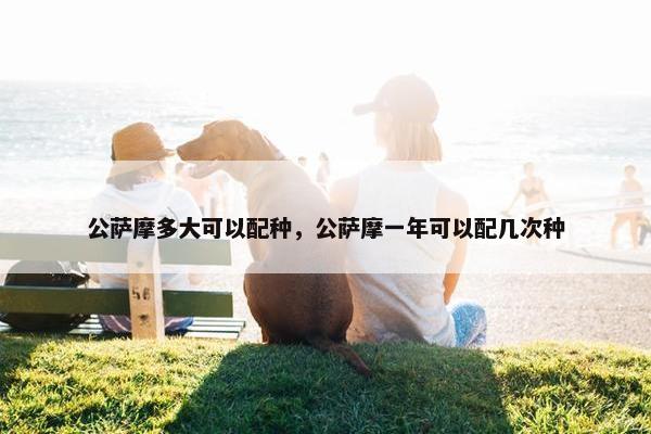 公萨摩多大可以配种，公萨摩一年可以配几次种