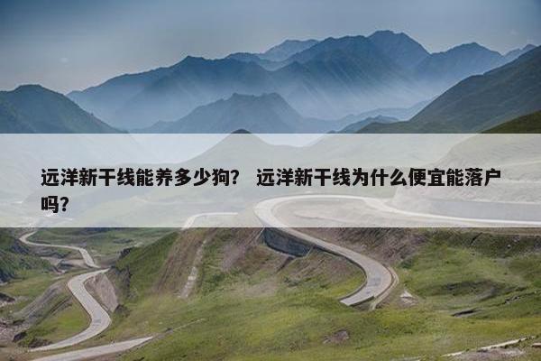 远洋新干线能养多少狗？ 远洋新干线为什么便宜能落户吗？