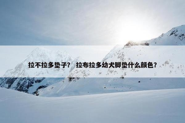 拉不拉多垫子？ 拉布拉多幼犬脚垫什么颜色？