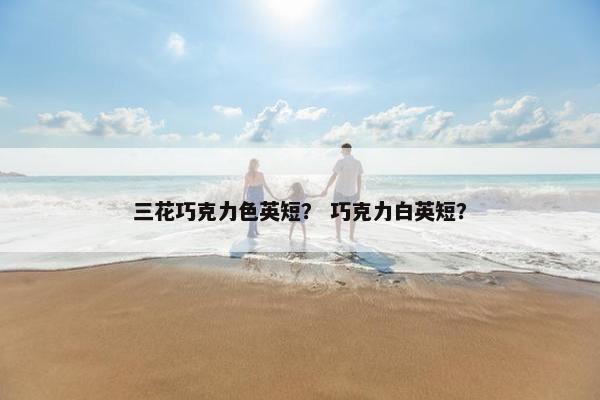 三花巧克力色英短？ 巧克力白英短？