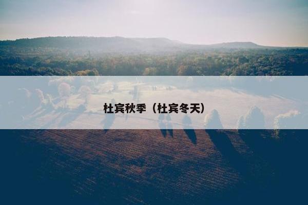 杜宾秋季（杜宾冬天）