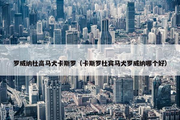 罗威纳杜高马犬卡斯罗（卡斯罗杜宾马犬罗威纳哪个好）
