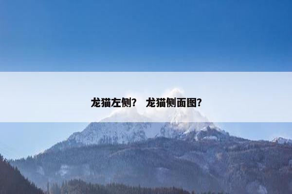 龙猫左侧？ 龙猫侧面图？