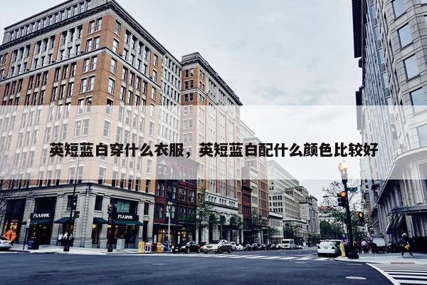 英短蓝白穿什么衣服，英短蓝白配什么颜色比较好