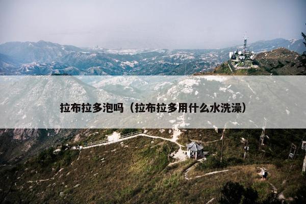 拉布拉多泡吗（拉布拉多用什么水洗澡）
