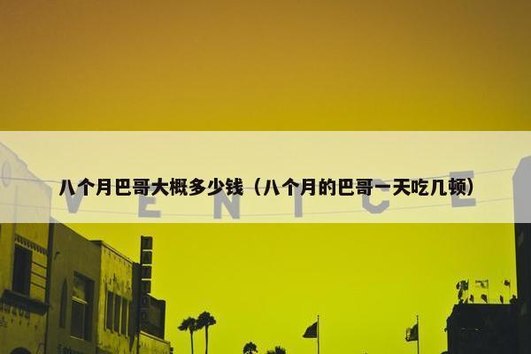 八个月巴哥大概多少钱（八个月的巴哥一天吃几顿）
