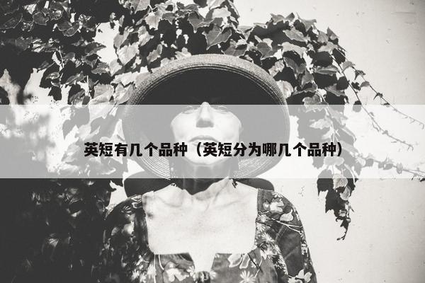 英短有几个品种（英短分为哪几个品种）