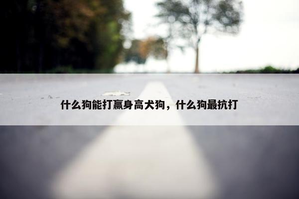 什么狗能打赢身高犬狗，什么狗最抗打