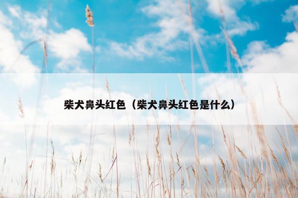 柴犬鼻头红色（柴犬鼻头红色是什么）