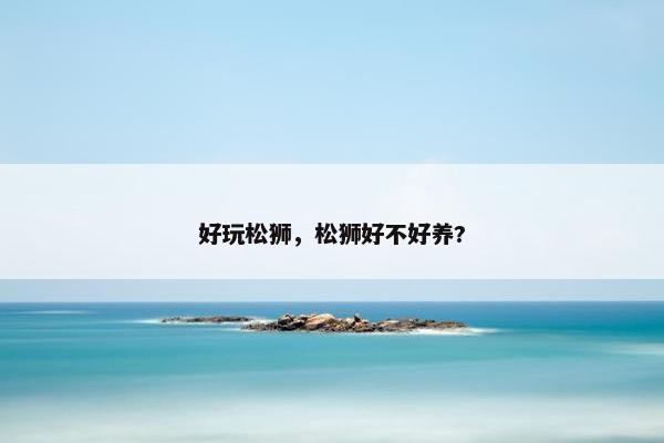 好玩松狮，松狮好不好养?