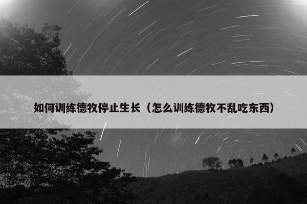 如何训练德牧停止生长（怎么训练德牧不乱吃东西）