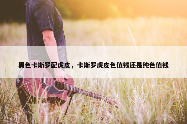 黑色卡斯罗配虎皮，卡斯罗虎皮色值钱还是纯色值钱