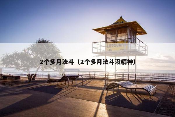 2个多月法斗（2个多月法斗没精神）
