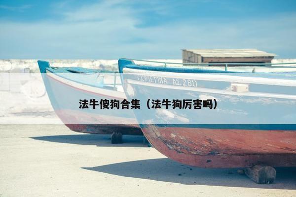 法牛傻狗合集（法牛狗厉害吗）