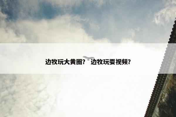 边牧玩大黄圈？ 边牧玩耍视频？