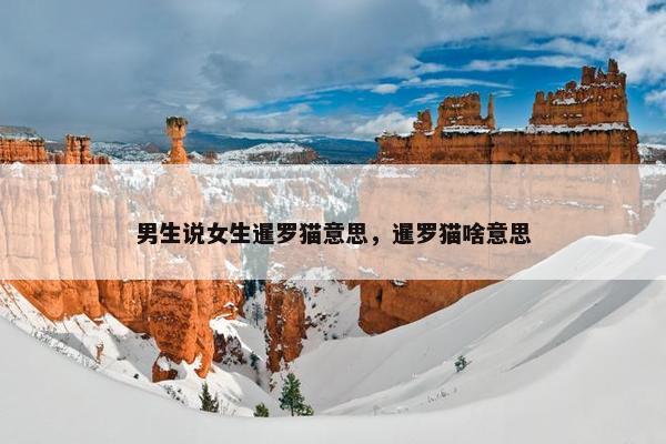 男生说女生暹罗猫意思，暹罗猫啥意思