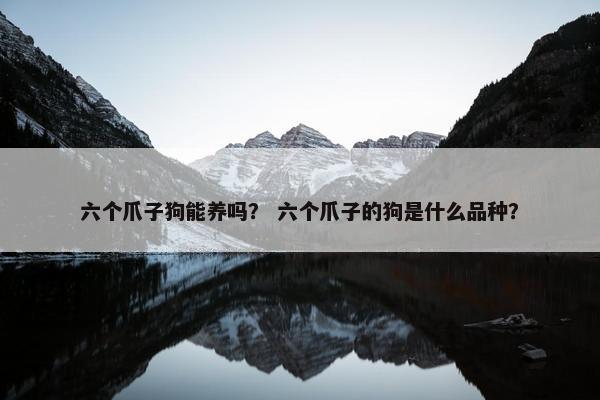 六个爪子狗能养吗？ 六个爪子的狗是什么品种？
