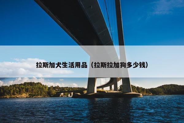 拉斯加犬生活用品（拉斯拉加狗多少钱）