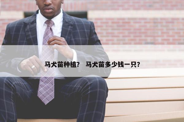 马犬苗种植？ 马犬苗多少钱一只？