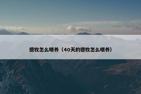 德牧怎么喂养（40天的德牧怎么喂养）