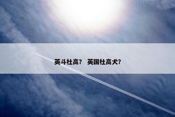 英斗杜高？ 英国杜高犬？