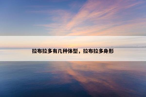 拉布拉多有几种体型，拉布拉多身形