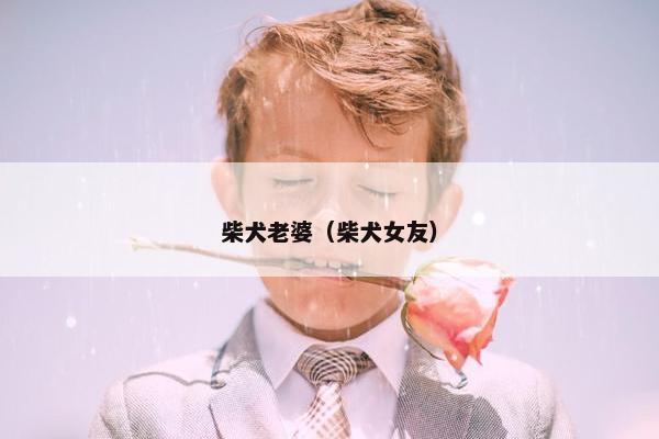 柴犬老婆（柴犬女友）