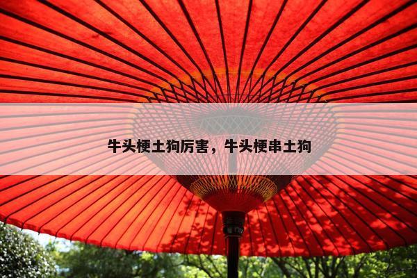 牛头梗土狗厉害，牛头梗串土狗