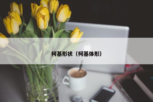 柯基形状（柯基体形）