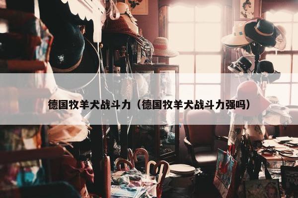 德国牧羊犬战斗力（德国牧羊犬战斗力强吗）