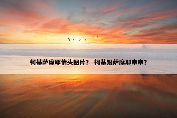 柯基萨摩耶情头图片？ 柯基跟萨摩耶串串？