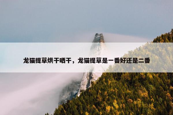 龙猫提草烘干晒干，龙猫提草是一番好还是二番