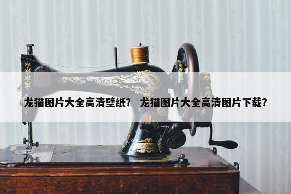 龙猫图片大全高清壁纸？ 龙猫图片大全高清图片下载？