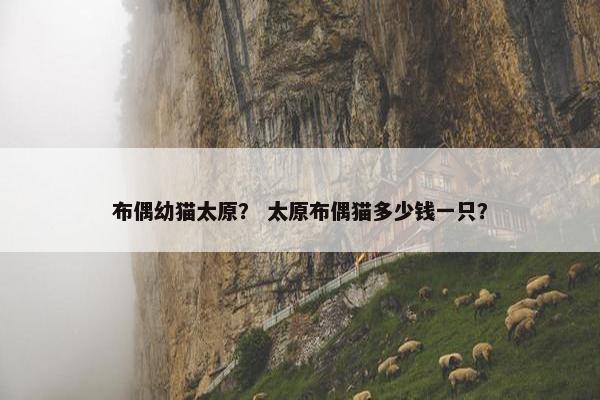 布偶幼猫太原？ 太原布偶猫多少钱一只？