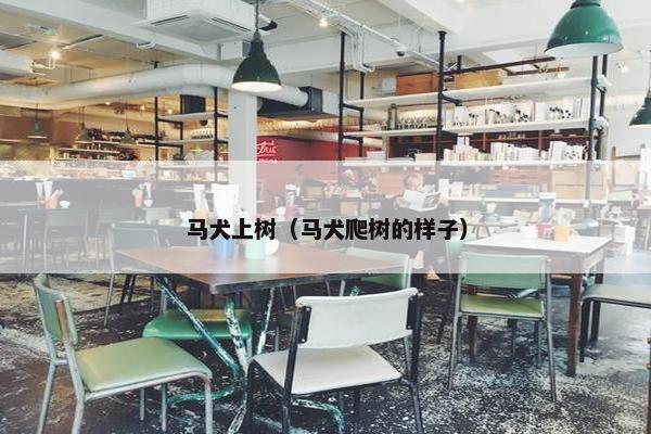 马犬上树（马犬爬树的样子）