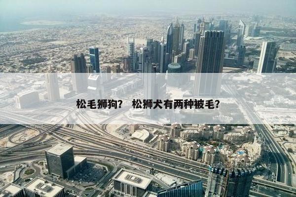 松毛狮狗？ 松狮犬有两种被毛？