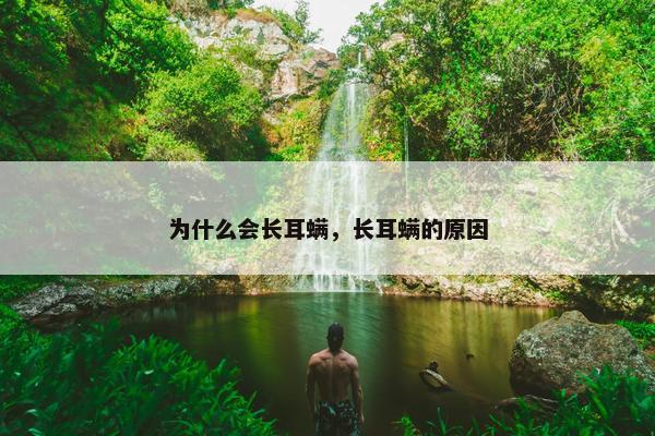 为什么会长耳螨，长耳螨的原因