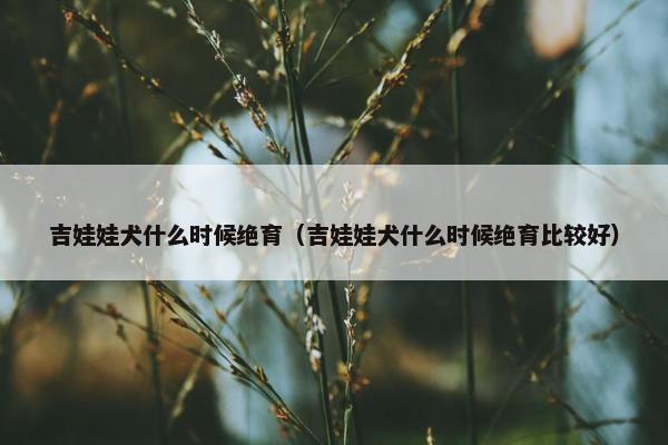 吉娃娃犬什么时候绝育（吉娃娃犬什么时候绝育比较好）