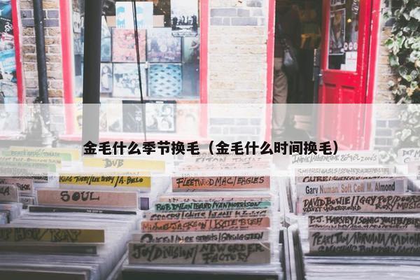 金毛什么季节换毛（金毛什么时间换毛）