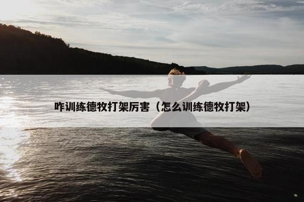 咋训练德牧打架厉害（怎么训练德牧打架）