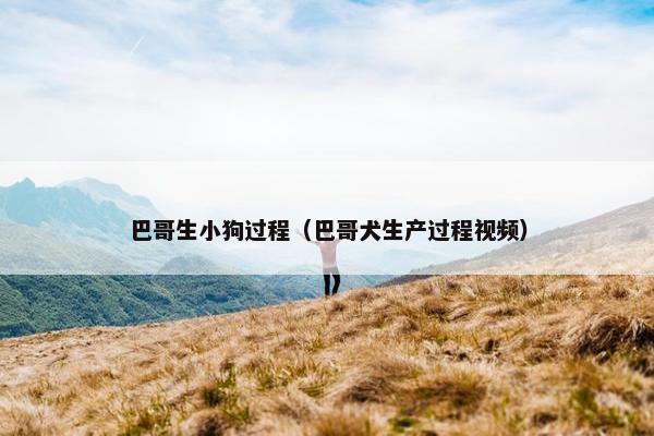 巴哥生小狗过程（巴哥犬生产过程视频）