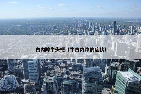 白内障牛头梗（牛白内障的症状）