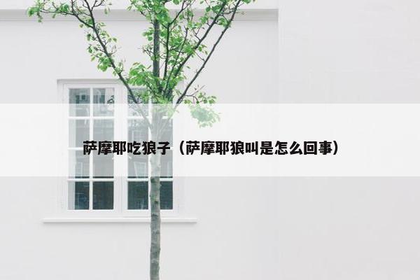 萨摩耶吃狼子（萨摩耶狼叫是怎么回事）