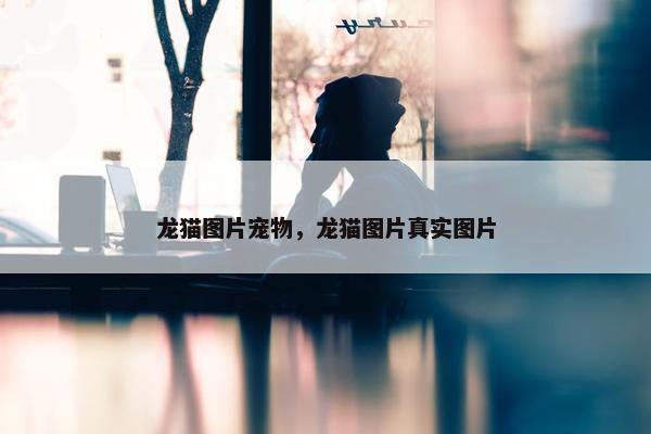 龙猫图片宠物，龙猫图片真实图片